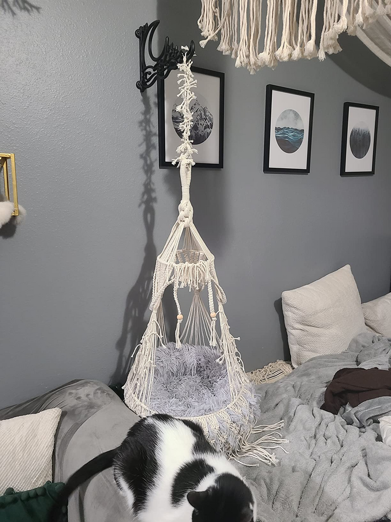 zoe